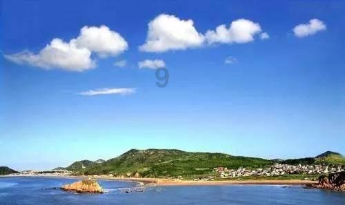 拯救枯树