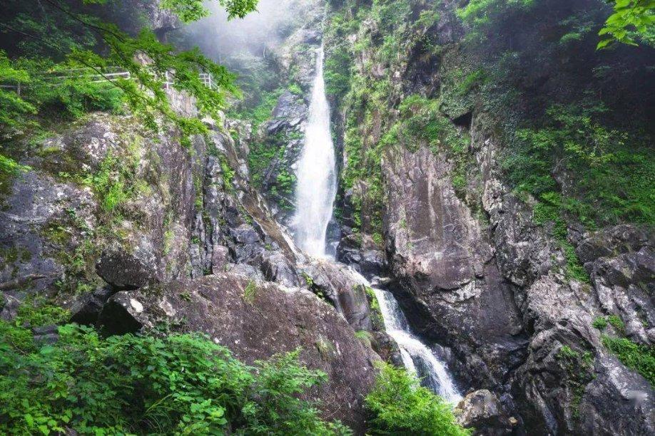 汽车维保迎高峰 业内人士提建议