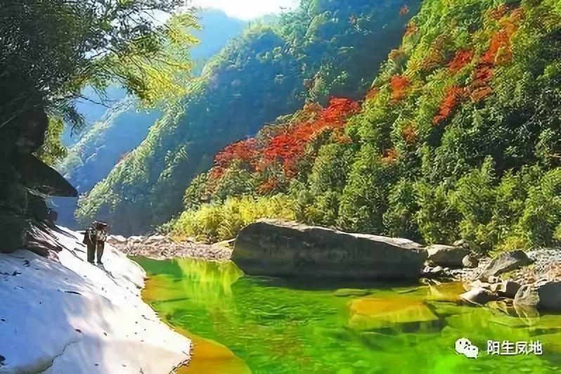失忆的流浪者